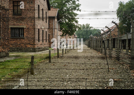 Une vue des clôtures à Auschwitz, Oswiecim, Pologne Banque D'Images