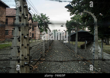 Une vue des clôtures à Auschwitz, Oswiecim, Pologne Banque D'Images