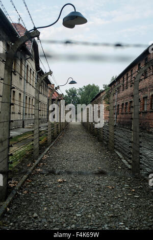 Une vue des clôtures à Auschwitz, Oswiecim, Pologne Banque D'Images