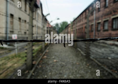 Une vue des clôtures à Auschwitz, Oswiecim, Pologne Banque D'Images