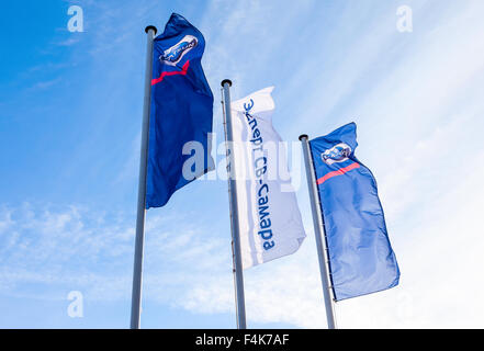 Les drapeaux de revendeur officiel Datsun sur ciel bleu Banque D'Images