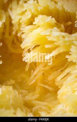 Close up of spaghetti Banque D'Images