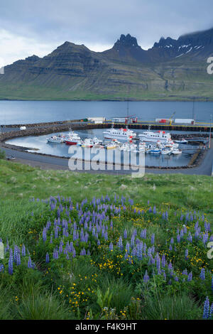 Vue sur le port à Stodvarfjordur fjord, Austurland, Islande. Banque D'Images