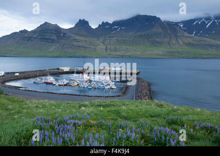 Vue sur le port à Stodvarfjordur fjord, Austurland, Islande. Banque D'Images