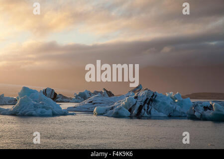 Soir d'icebergs in Jokulsarlon glacial Lagoon, parc national du Vatnajökull, Sudhurland, Islande. Banque D'Images