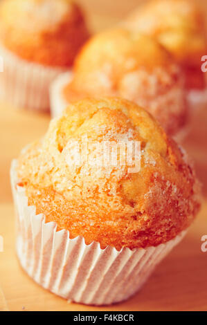 Libre de quelques madeleines, muffins ordinaire typique espagnol, sur une table en bois Banque D'Images