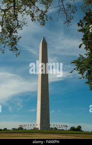 Le Monument de Washington, Washington DC, USA Banque D'Images