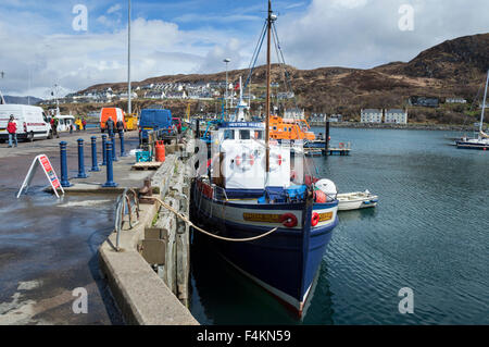 À la recherche sur le port de Mallaig, côte ouest de l'Écosse. Région des Highlands. Banque D'Images