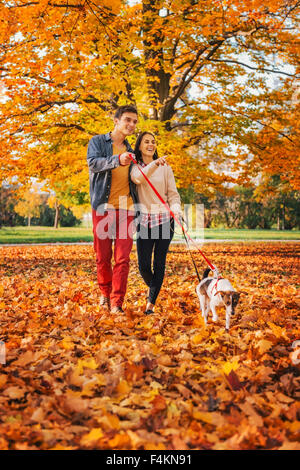 Couple avec deux chiens mignon walking in park sur beau jour d'automne Banque D'Images