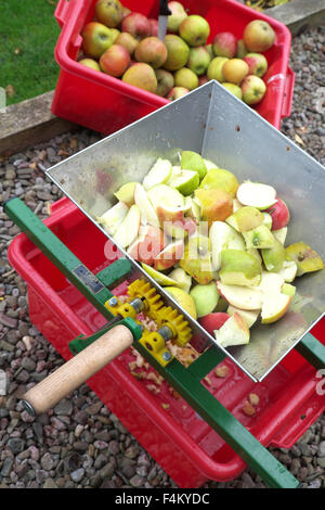 Scratter de cidre de pomme pour la pâte couper les pommes avant d'appuyer sur jus Banque D'Images