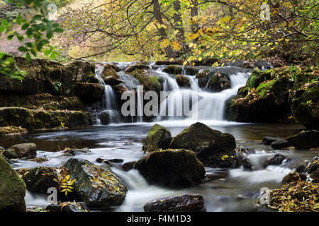 Couleurs d'automne en Hudeshope Beck Middleton Teesdale County Durham UK Banque D'Images