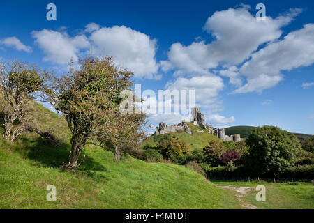 Château de Corfe, grand soleil, ciel bleu Banque D'Images
