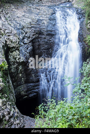 Chutes d'eau dans Parc National de Springbrook, Queensland, Australie Banque D'Images