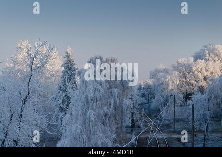 Paysages d'hiver près de la ville de la ruse de la Bulgarie du nord Banque D'Images