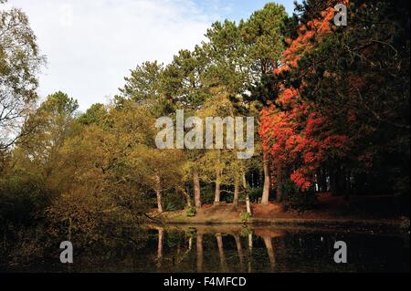 Glasgow, Ecosse, Royaume-Uni. 20 Oct, 2015. L'étang à Pollok Park, Glasgow, éclairée le beau soleil d'automne. Crédit : Tony Clerkson/Alamy Live News Banque D'Images