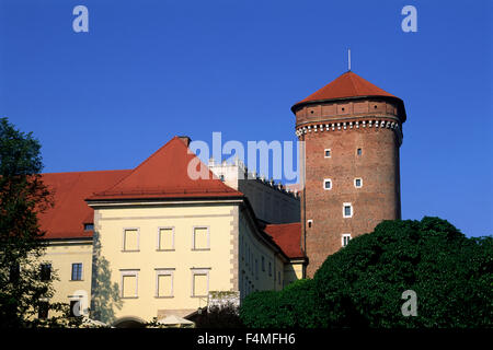 Pologne, Cracovie, château du Wawel Banque D'Images