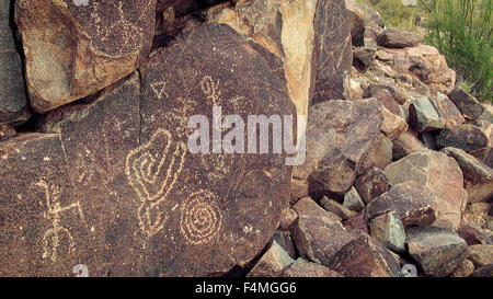 Pétroglyphes de Signal Hill, Saguaro National Park, Arizona Banque D'Images