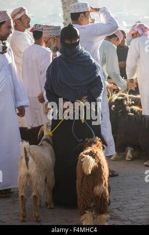 Nizwa jour de marché. Une fois la capitale d'Oman la ville moderne d'aujourd'Nizwah est célèbre pour son souk animé et le bétail marché. Banque D'Images