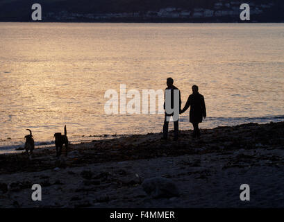 Silhouette de couple holding hands walking dogs le long de la plage au coucher du soleil, Downderry, Cornwall, UK Banque D'Images