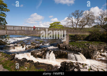 Journée ensoleillée avec ciel bleu, dame est le croisement de passerelle sur Scenic Linton Falls Cascade - rivière Wharfe, Skipton, Yorkshire, Angleterre, Royaume-Uni. Banque D'Images