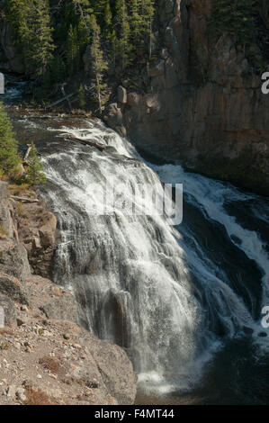 Gibbon Falls, NP Yellowstone, Wyoming, USA Banque D'Images