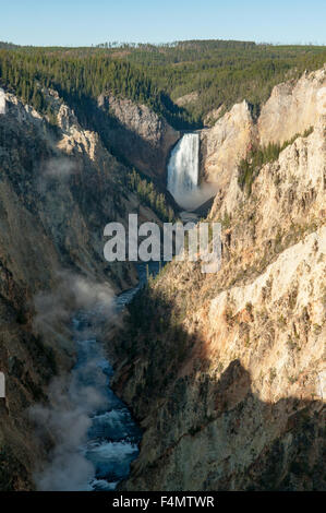 Lower Falls, Grand Canyon, Yellowstone NP, Wyoming, USA Banque D'Images