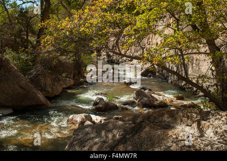 Shell Creek, Bighorn Mountains, Wyoming, USA Banque D'Images