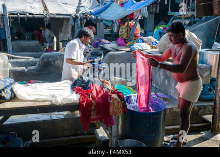 Travaux sont à chiffons laver mahalaxmi dhobi ghat, la plus grande piscine en plein air blanchisserie. environ 5000 travailleurs vivent et travaillent ici, Banque D'Images