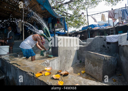 Un travail est à chiffons laver mahalaxmi dhobi ghat, la plus grande piscine en plein air blanchisserie. environ 5000 travailleurs vivent et travaillent ici, Banque D'Images