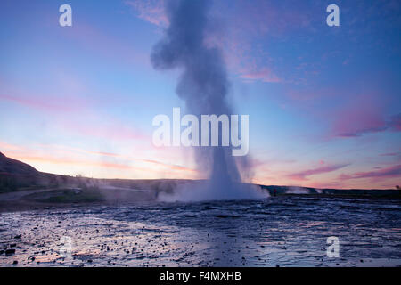 Strokkur geyser errupting au coucher du soleil, Geysir, Islande, Sudhurland. Banque D'Images