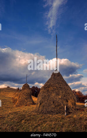 Dans haystack seul Foggy Mountain Banque D'Images