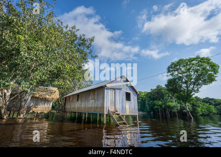 Woode maisons construites sur pilotis au-dessus de l'eau élevé, Amazon rainforest Banque D'Images