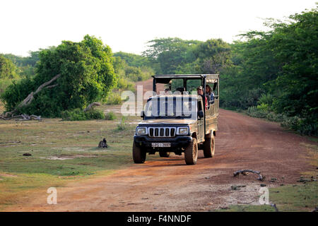 Véhicule Safari, SUV, game drive avec les touristes dans le parc national de Yala, au Sri Lanka Banque D'Images
