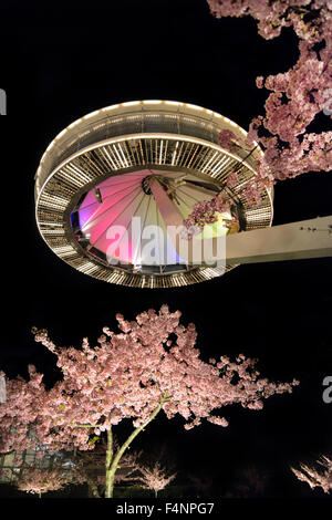 La montée de la plate-forme de l'observatoire 'île Fuji' et des fleurs fleuries au parc Nabana No Sato à Kuwana, Japon.Paysage nocturne printanier. Banque D'Images