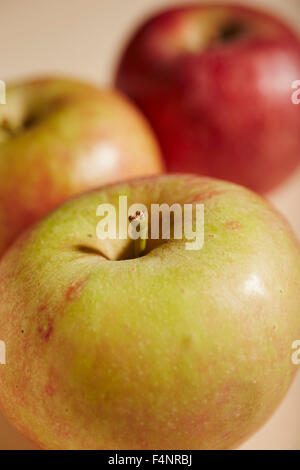 Stayman Pommes, une variété traditionnelle américaine du comté de Lancaster, Pennsylvanie, USA Banque D'Images