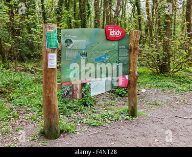 Un poteau de signalisation en Tehidy Country Park près de Portreath Cornwall West Country England UK Banque D'Images