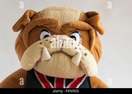 Pattes de chien bulldog toy portant Union Jack jacket situé sur fond blanc Banque D'Images