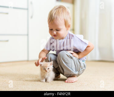 Tout-petit Enfant Garçon jouant avec chaton dans chambre enfants Banque D'Images