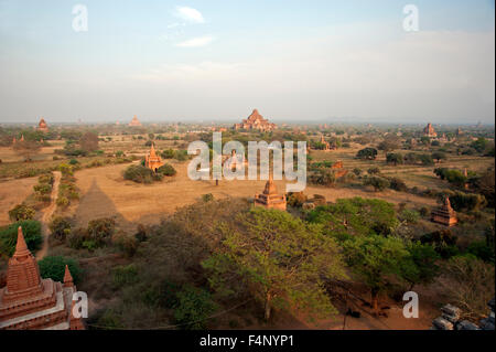 La Grande Pagode de Dhammayangyi domine la plaine de Bagan poussiéreux à Bagan Myanmar zone archéologique au coucher du soleil Banque D'Images