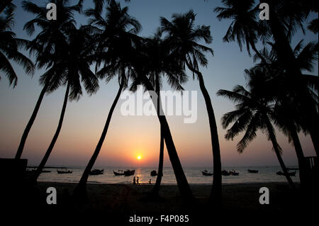 La silhouette des cocotiers encadrent la lueur coucher du soleil sur l'horizon à la plage de Ngapali Myanmar Banque D'Images