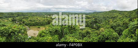 Panorama pittoresque du paysage verdoyant au Bangladesh Banque D'Images