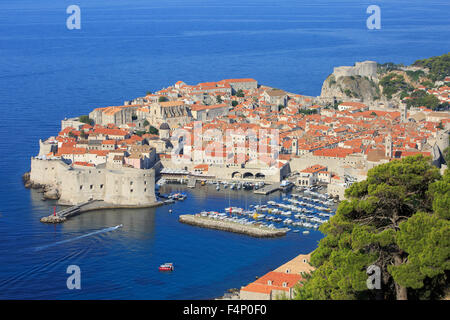 Vue panoramique sur la vieille ville médiévale fortifiée (site classé au patrimoine mondial de l'UNESCO) de Dubrovnik, Croatie Banque D'Images