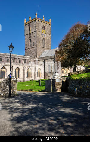 Cathédrale St Davids dans la ville de St Davids, Pembrokeshire, Pays de Galles le long d'une journée d'automne. Banque D'Images