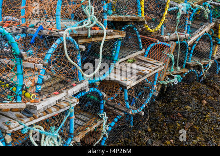 Les casiers à homard et crabe dans différentes tailles et couleurs. Banque D'Images