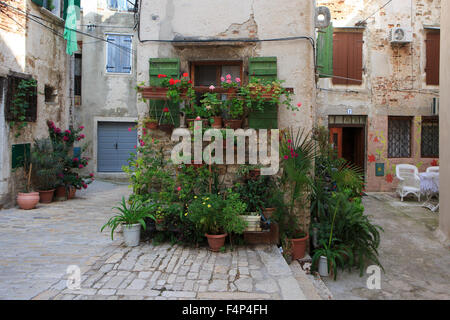 Ruelles traditionnelles de Rovinj, Croatie, Rovigno Banque D'Images