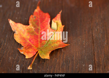 Feuille d'automne colorés secs en rouge et jaune sur fond de bois Banque D'Images