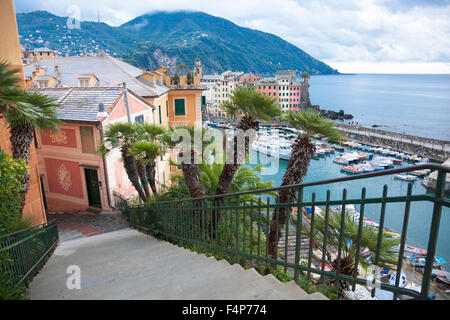 Street et du port de plaisance de Camogli, Italie Banque D'Images