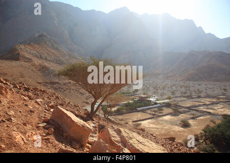 Paysages de la baie de Bukha, dans le Granny's enclave niches de Musandam, Oman Banque D'Images