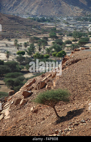 Paysages de la baie de Bukha, dans le Granny's enclave niches de Musandam, Oman Banque D'Images