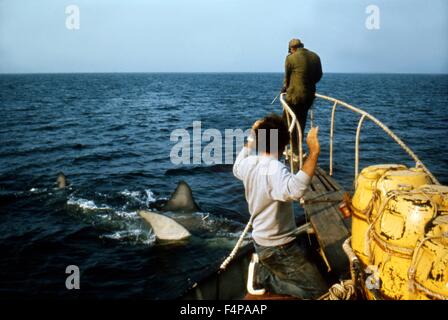 Robert Shaw, Richard Dreyfuss / Jaws 1975 réalisé par Steven Spielberg Banque D'Images